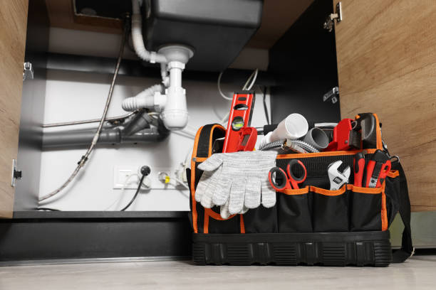 Best Clogged Drain Plumber  in Riverside, UT